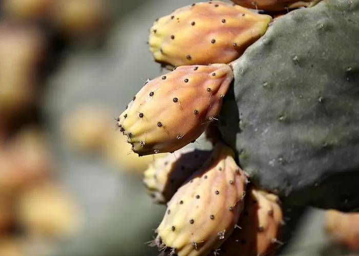 Hotel Smy Santorini & Pýrgos